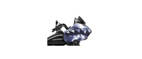 002-RG - Image 2