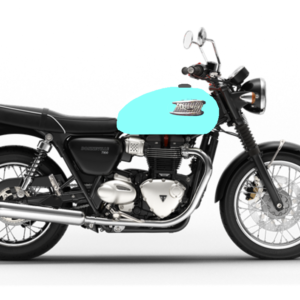 Triumph 06 per modelli con placca removibile