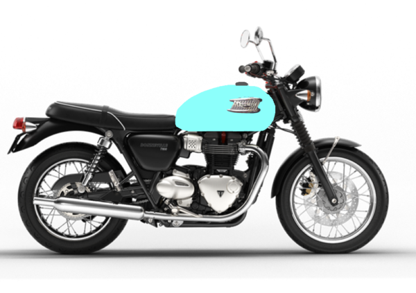 Triumph 06 per modelli con placca removibile